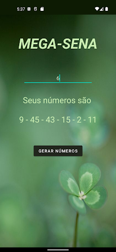 MegaSorteApp Screen 2