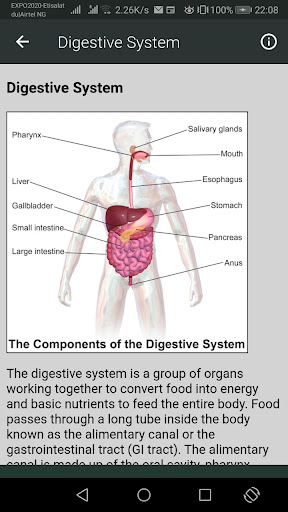 Human Anatomy Screen 2