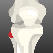 Peroneal Nerve Therapy and Rehabilitation