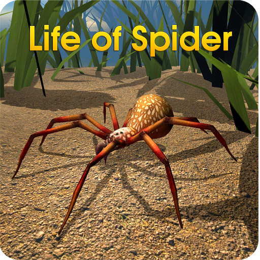 Life of Spider 1.2 Icon