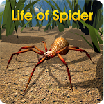 Cover Image of 下载 Life of Spider  APK