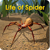 Life of Spider icon