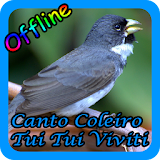 Canto Coleiro Tui Tui Viviti New Offline icon