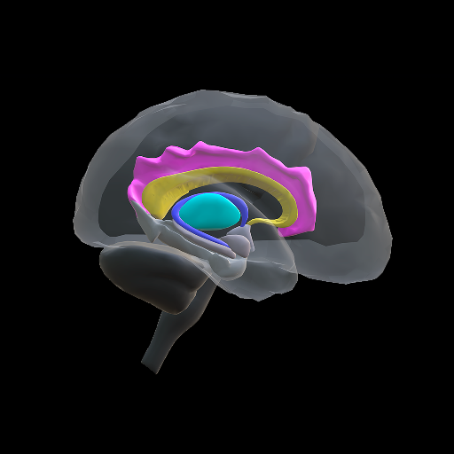 Opioids and the Brain logo