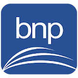 BNP digital icon