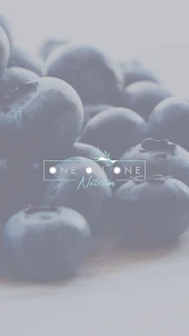 One On One Nutrition