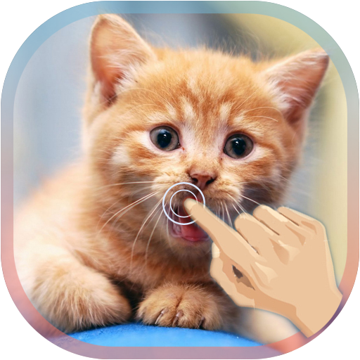 Magic Touch Cat Live WallPaper  Icon