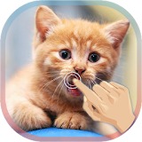 Cute Cat Live WallPaper icon
