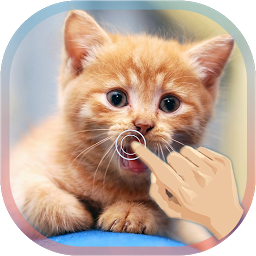 Icon image Magic Touch Cat Live WallPaper