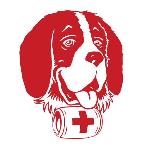 Bernardo app logo