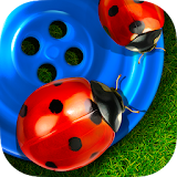 Bugs and Buttons icon