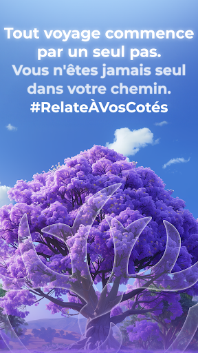 Aperçu de l'application