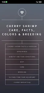 Cherry Shrimp Care