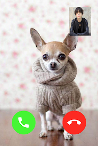 Captura 2 Chihuahua Dog Video Call android