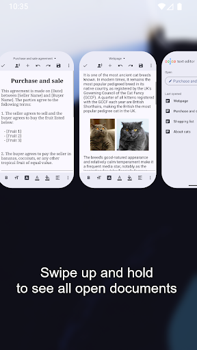 Screenshot of Text Editor