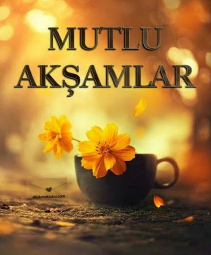 Android application Iyi akşamlar selamlar screenshort