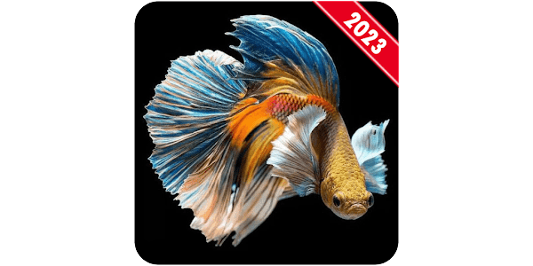 Betta Fish Wallpaper - Apps on Google Play