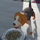 Lovely Beagle Dog Game