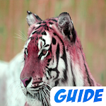 Cover Image of Download Walktrough for tigre in the forest 1.0 APK