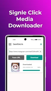SnapXinsta: Insta Downloader