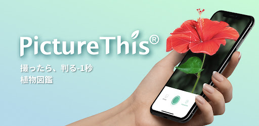 Picturethis 撮ったら 判る 1秒植物図鑑 Google Play のアプリ