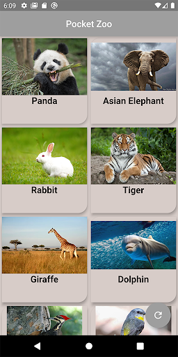 Android application Pocket Zoo screenshort