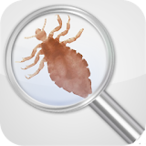 Lice Detector (prank) icon
