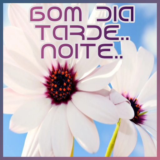 Bom dia, Boa Noite e Tarde