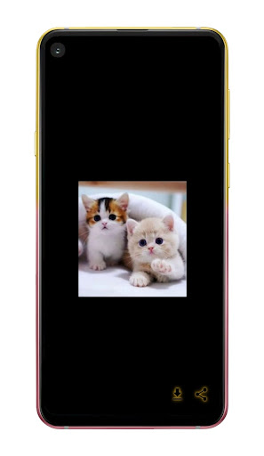 خلفيات صور حيوانات