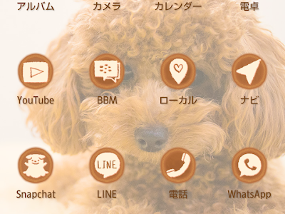いろいろ 壁紙 子犬 トイプードル 187471