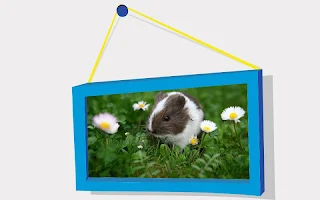 Picture Puzzle: Hamsters - Screenshot 1