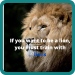 Cover Image of Download New Lion Quotes  APK