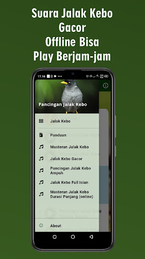 Android application Suara Jalak Kebo Gacor Ampuh screenshort