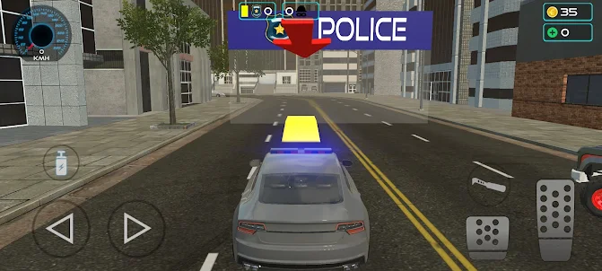 Police vs Thief: Gold Rush