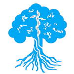 Cover Image of Download Tree of Life Willow Park  APK