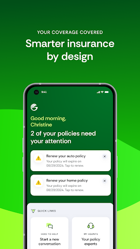 Screenshot of Goosehead Insurance