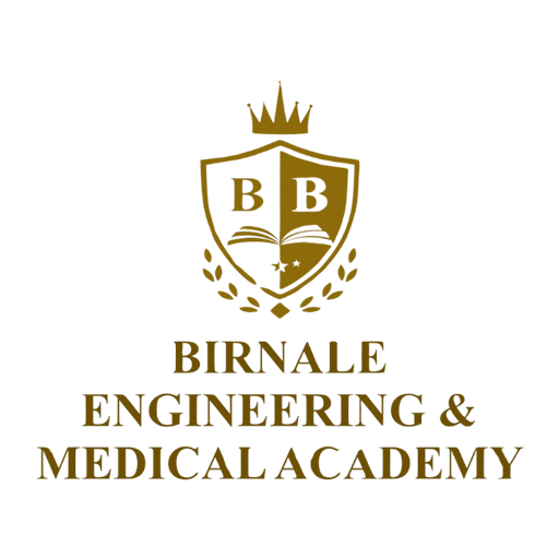 Birnale Academy