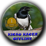 Kicau Kacer Offline icon