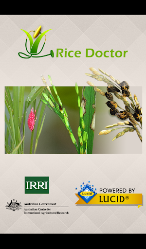 Android application Rice Doctor Tagalog screenshort
