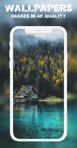 Forest and Beach Wallpaper