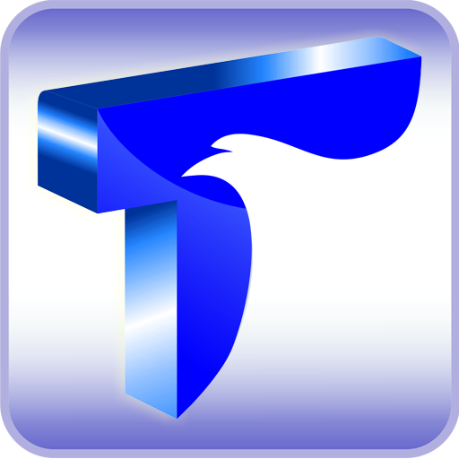 大展證券-e指贏 logo