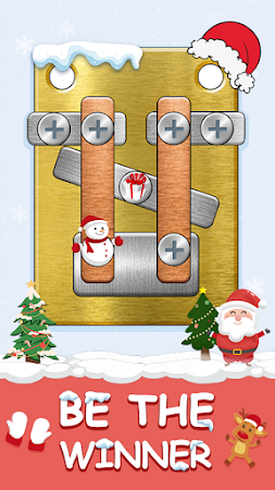 Game screenshot Screw Pin Puzzle:スクリューピンパズル apk download