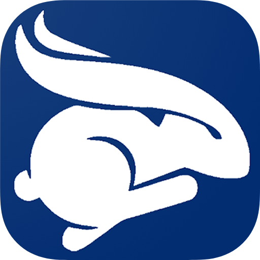 Rabbit Rally 2.0  Icon