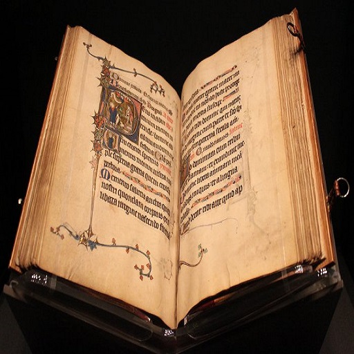 Awesome Storybook For Adults