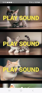 Sounds That Attract Cats