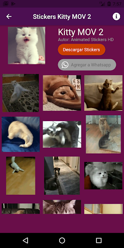 Android application Animated Stickers of Cute Cats screenshort