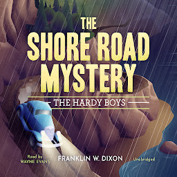 Icon image The Shore Road Mystery