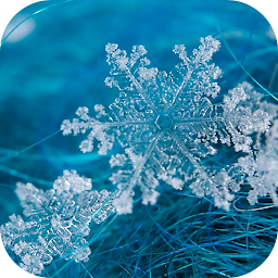 Gambar ikon Snowflakes Live Wallpaper