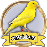 Cover Image of ダウンロード Canto Canário Belga Campainha  APK