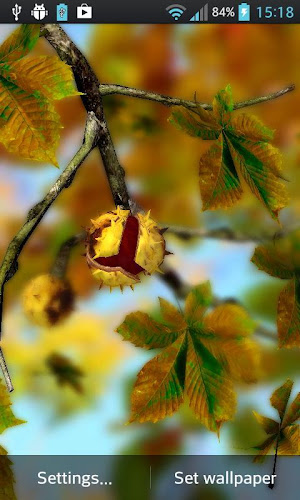 Autumn Leaves in HD Gyro 3D XL Parallax Wallpaper - Latest version for  Android - Download APK